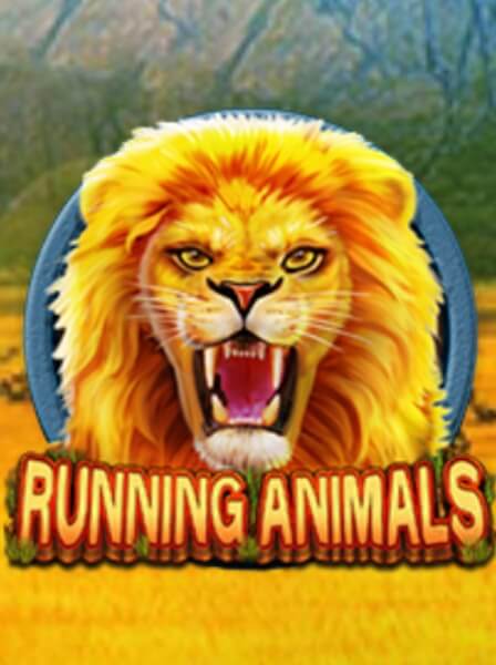 Exploring the Excitement of Diamond7 Casino Online Gaming Experience